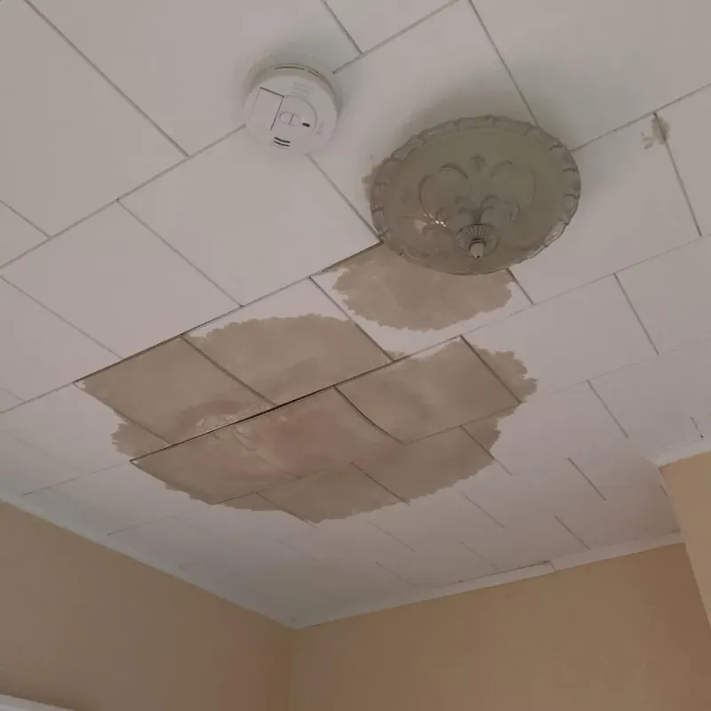 Ceiling Water Damage Repair in Landis, NC