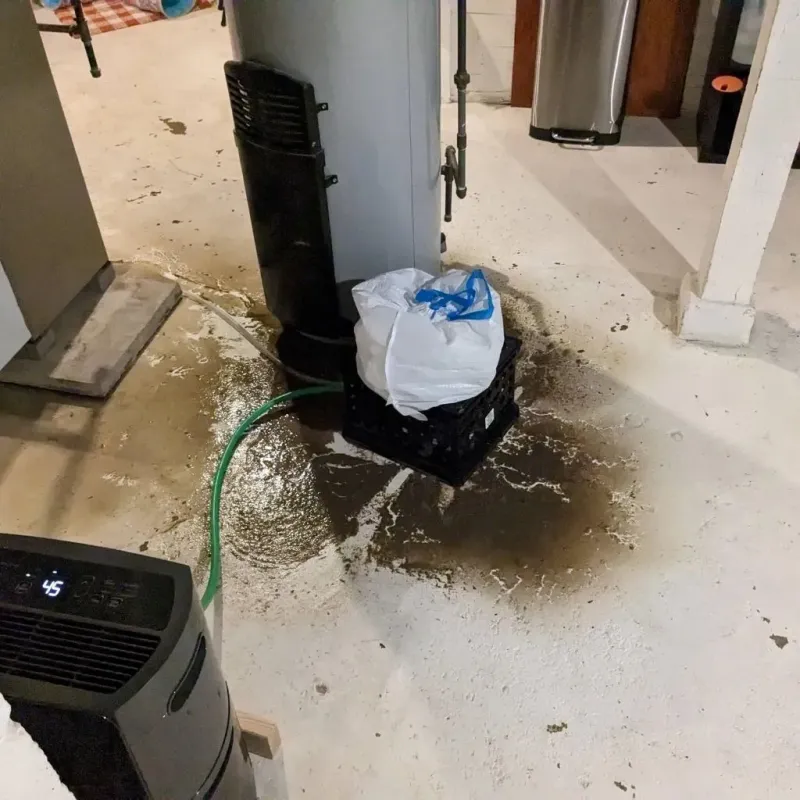 Sewage Backup Cleanup Service in Landis, NC